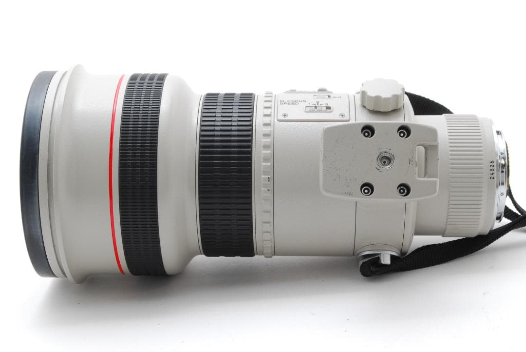 Canon EF 300mm f2.8 L USM キャノン レンズ 望遠
