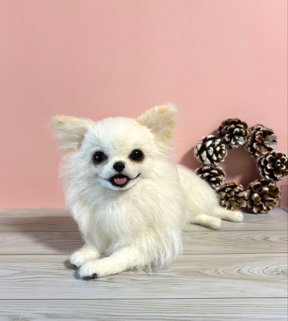 羊毛フェルト　伏せをする大きいチワワちゃん