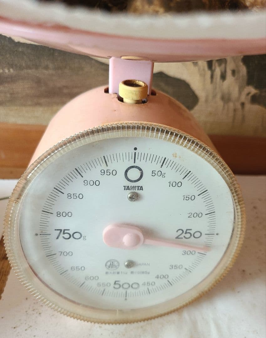 松茸　長野県　約280g