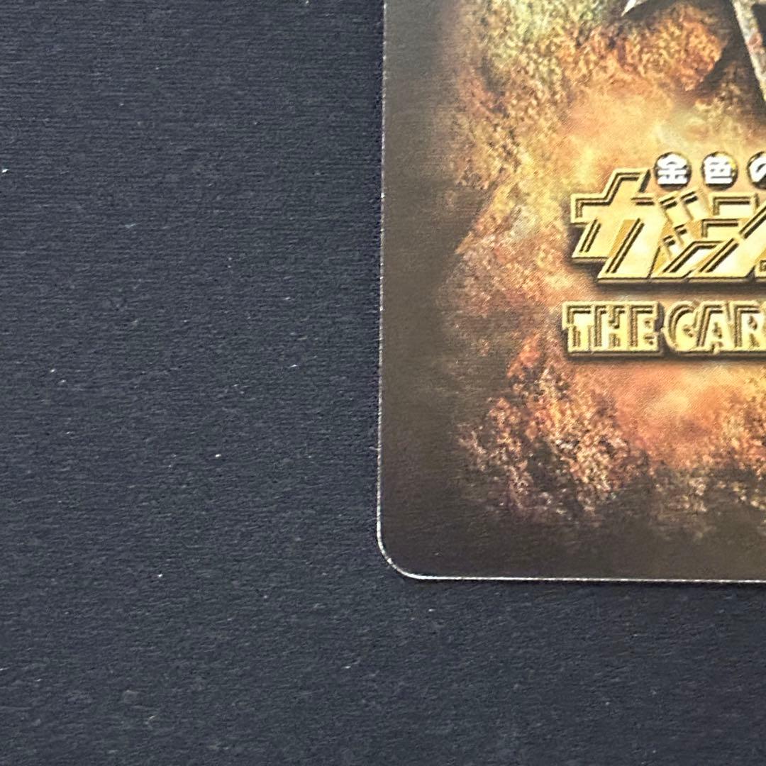 バリー 大きな背中 M-454