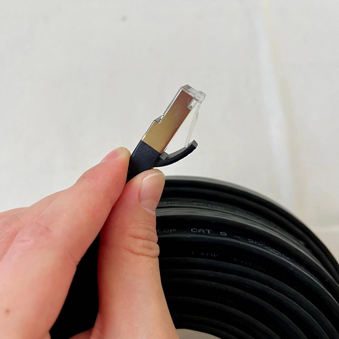 ☘️LANケーブル　CAT8 フラット　30m 爪折れ防止　超高速　黒　パソコン