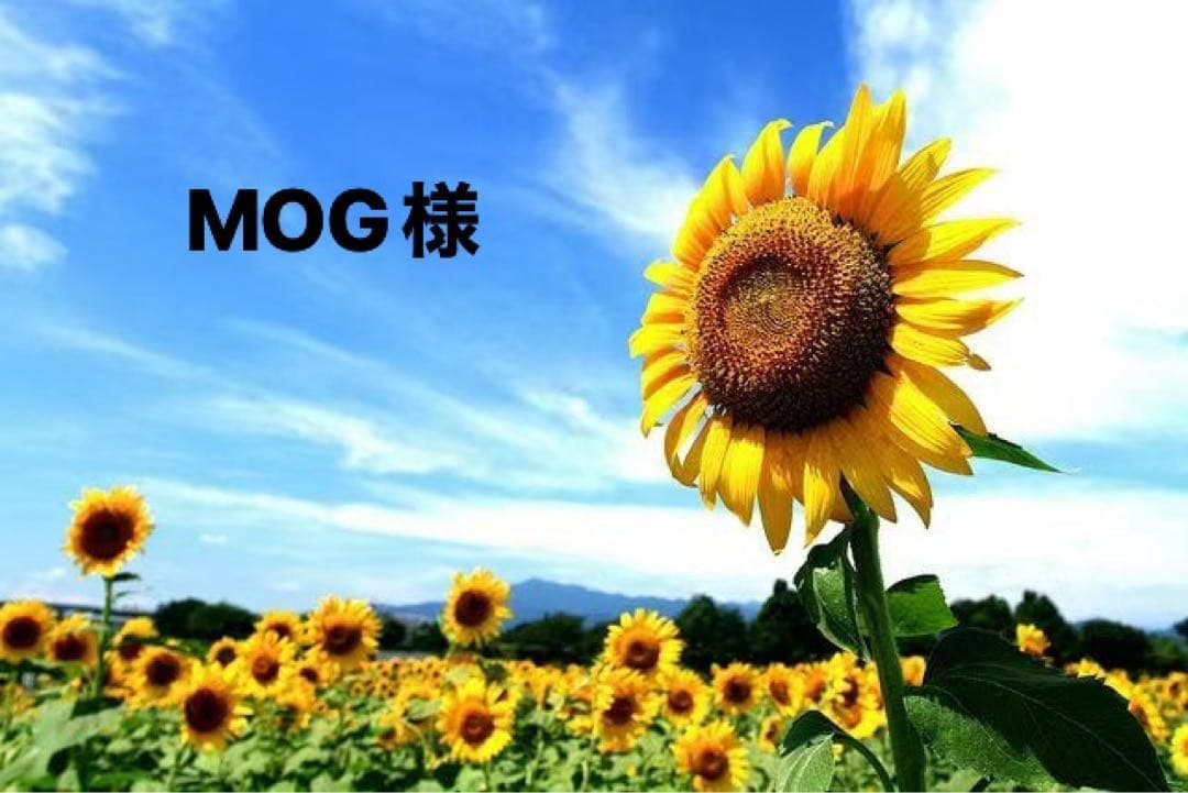 MOG様