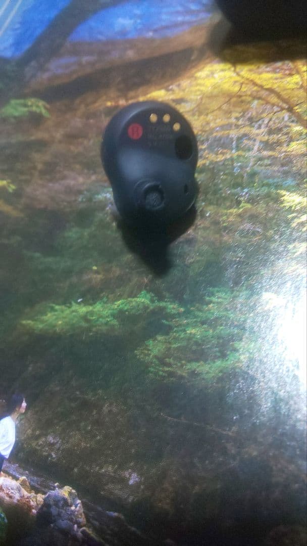 1ヶ月保証付　ケース イヤホン両方バッテリー新品交換　wf-1000xm4おまけ