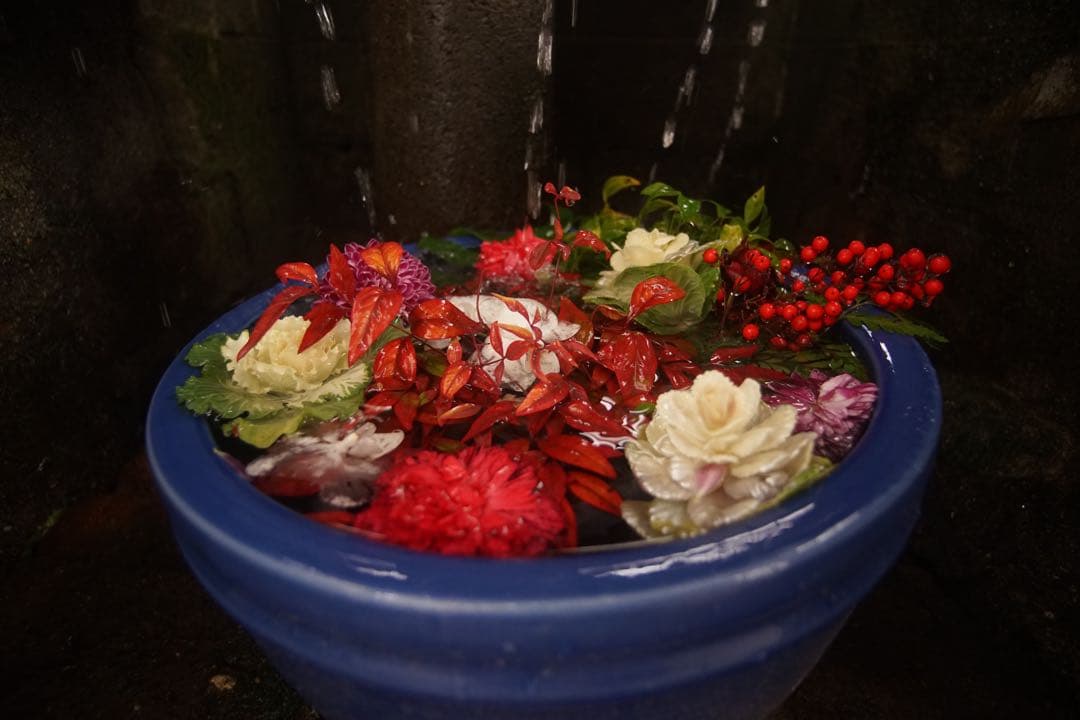 作例付き　TOKINA 20-35mm F3.5-4.5 AF 管mpr