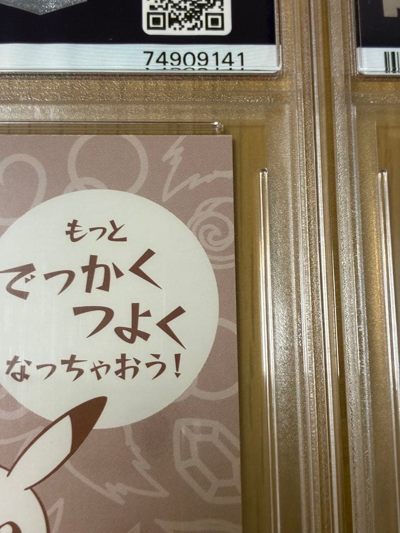 PSA10☆ポンチョを着たピカチュウ★名刺カード メガリザードン ポンチョ