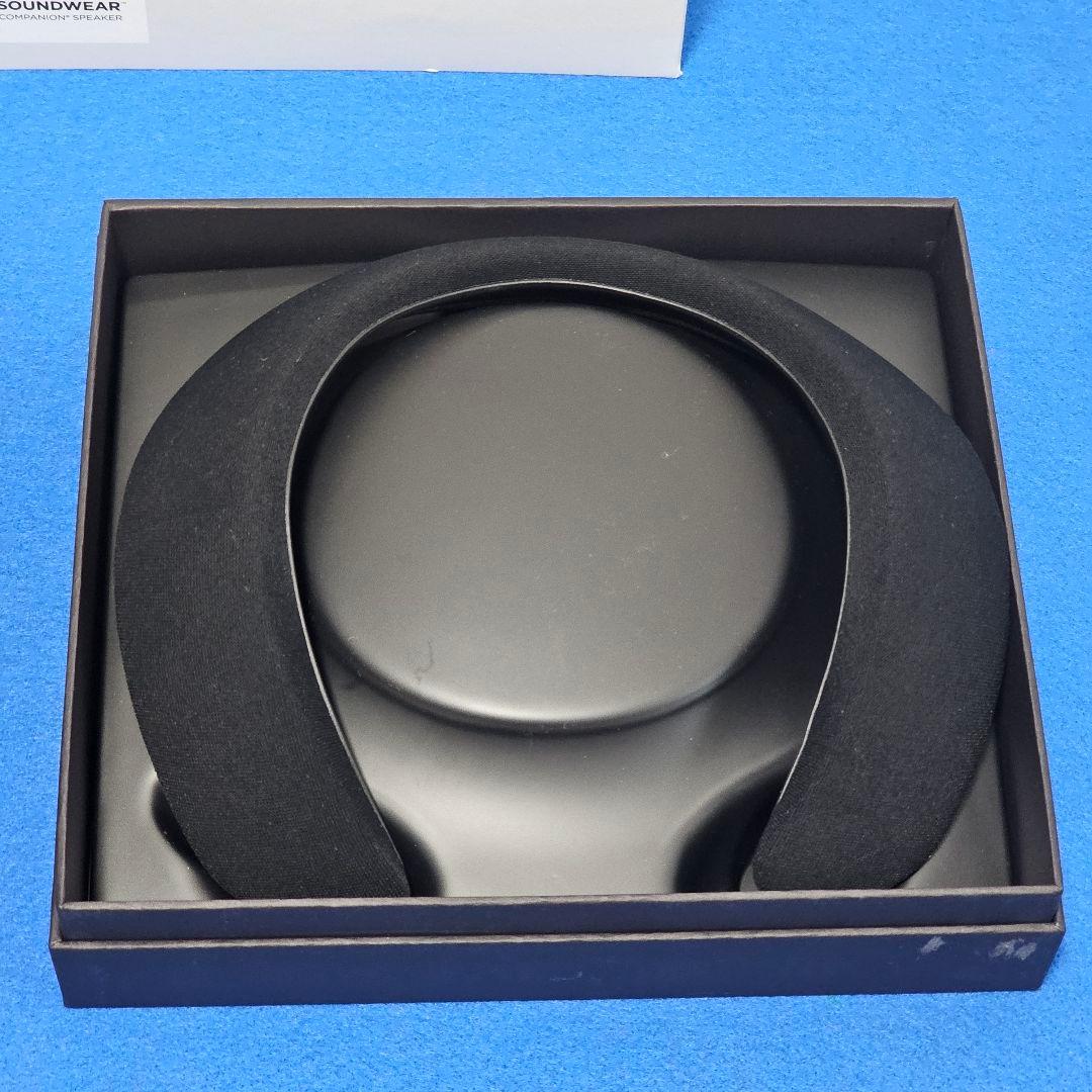 【美品】SoundWear Companion speaker