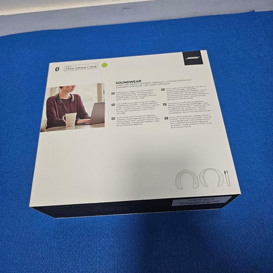 【美品】SoundWear Companion speaker