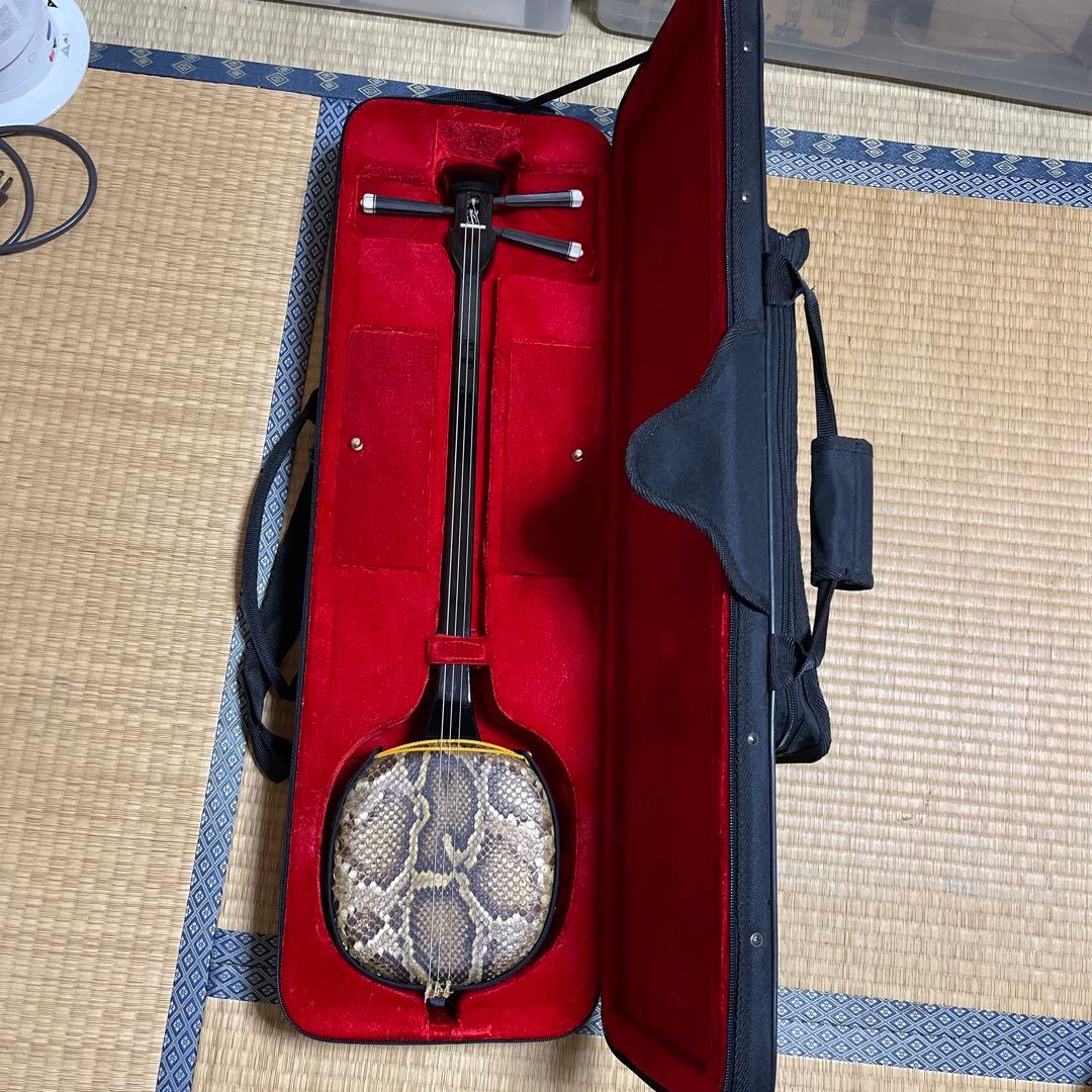 蛇皮沖縄三線　ハードケース付き
