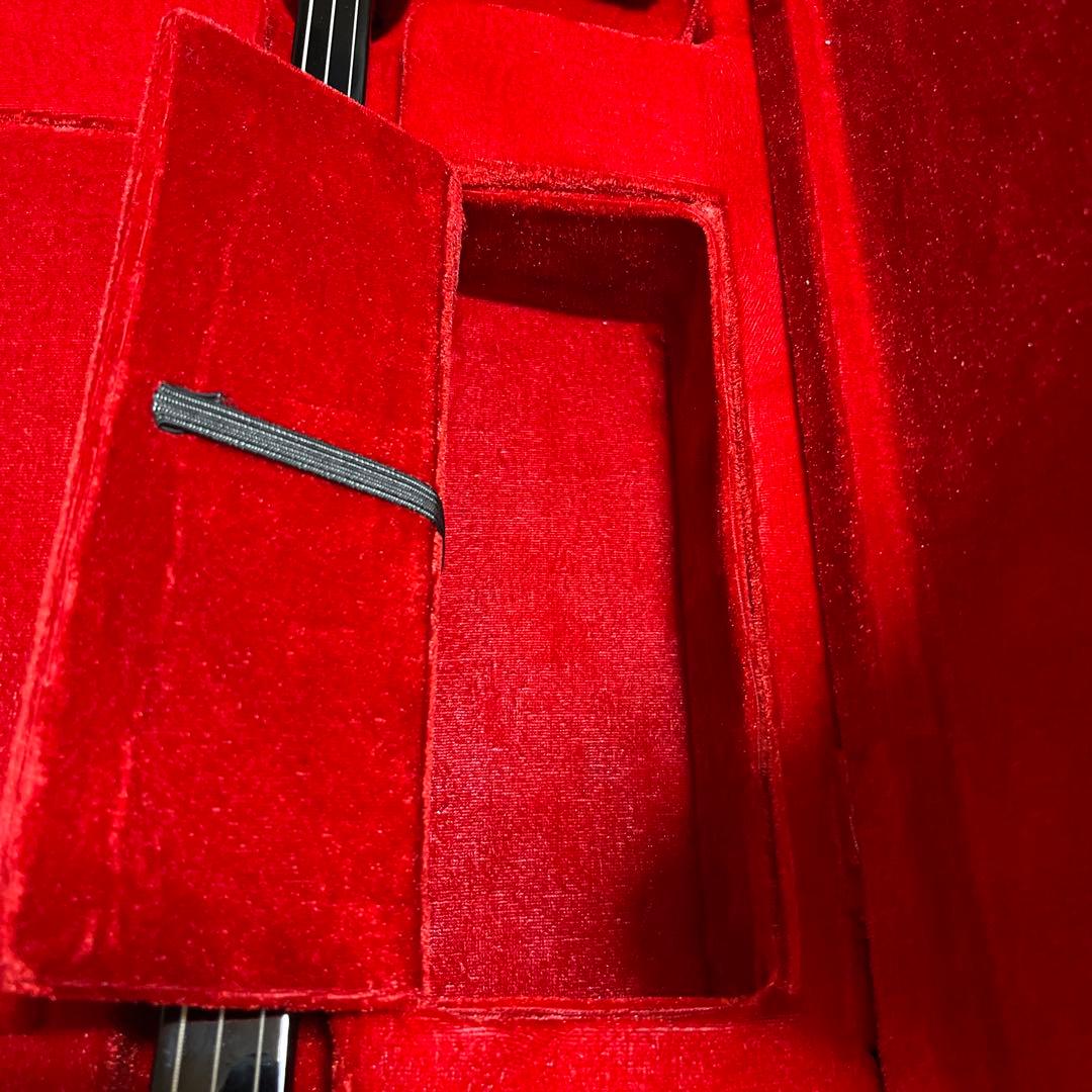 蛇皮沖縄三線　ハードケース付き