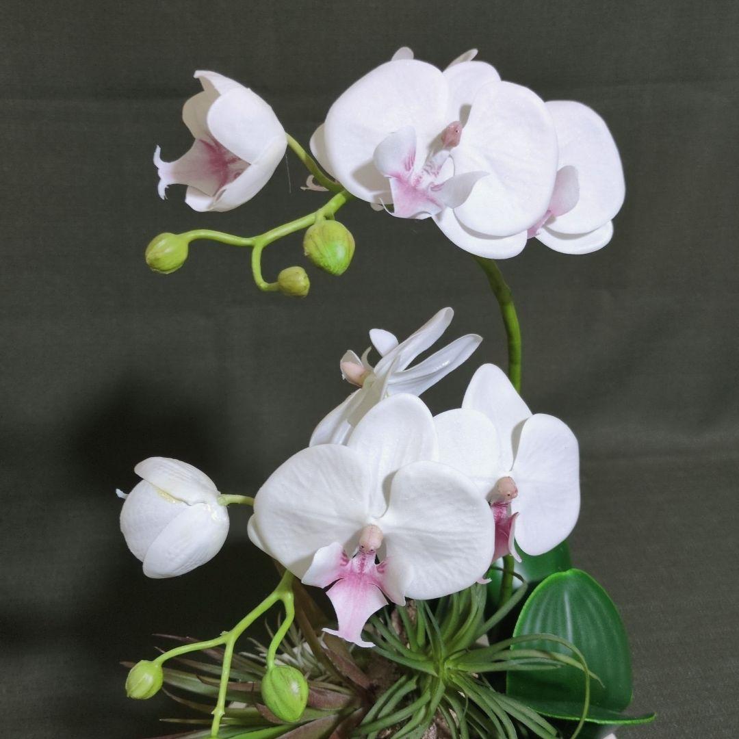 エミリオ•ロバ　胡蝶蘭 造花 フラワーアーティフィシャル　ファレノプシス