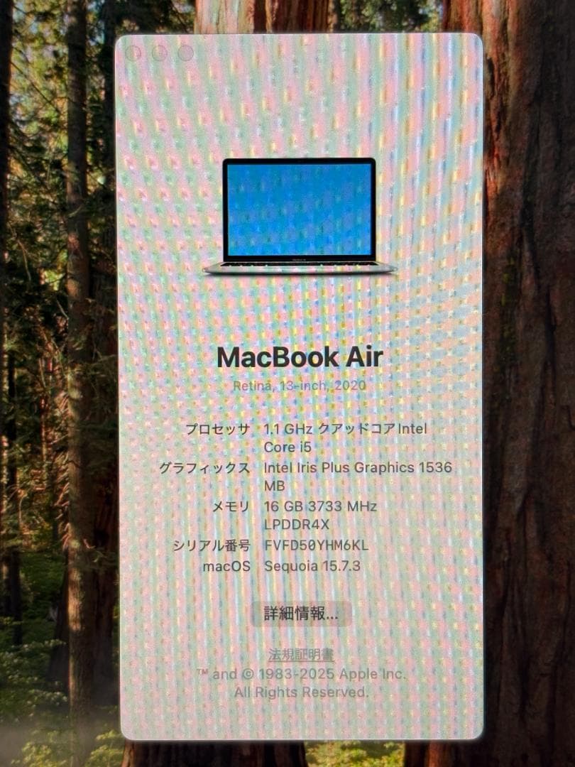MacBook本体 MacBook Air 2020 16GB/512GB