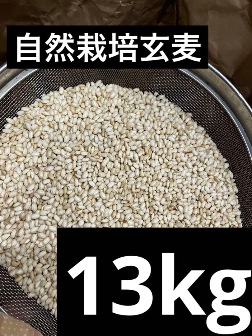 自然栽培玄麦　13kg 熊本県産