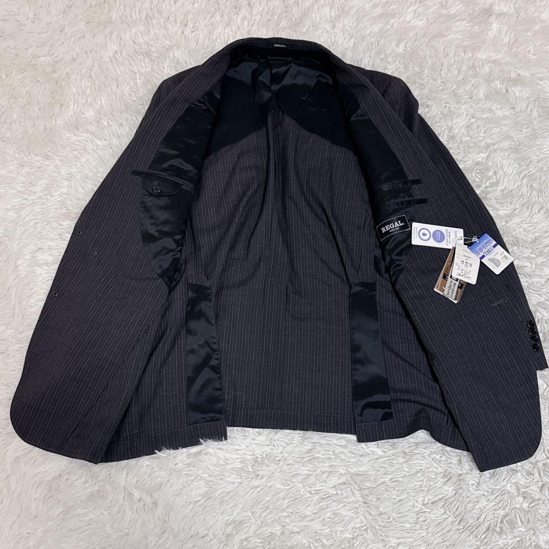 新品タグ付き 大きいサイズ REGAL リーガル ストライプ グレー E10
