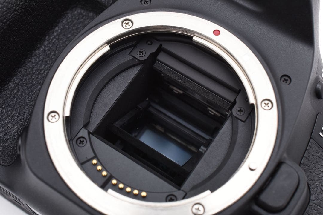 デジタル一眼レフカメラ Canon EOS 90D標準&望遠ダブルレンズセット