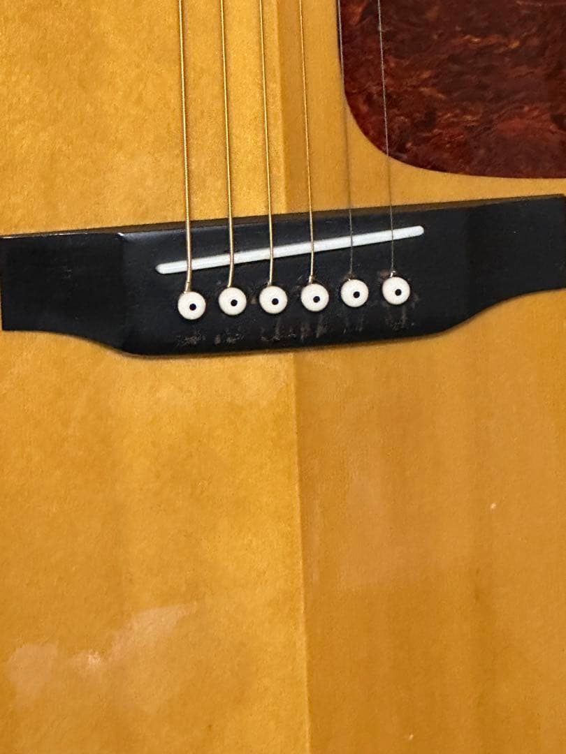 トミー 最後のチャンス！トップ単板モーリスMD507 アコギPA付美品