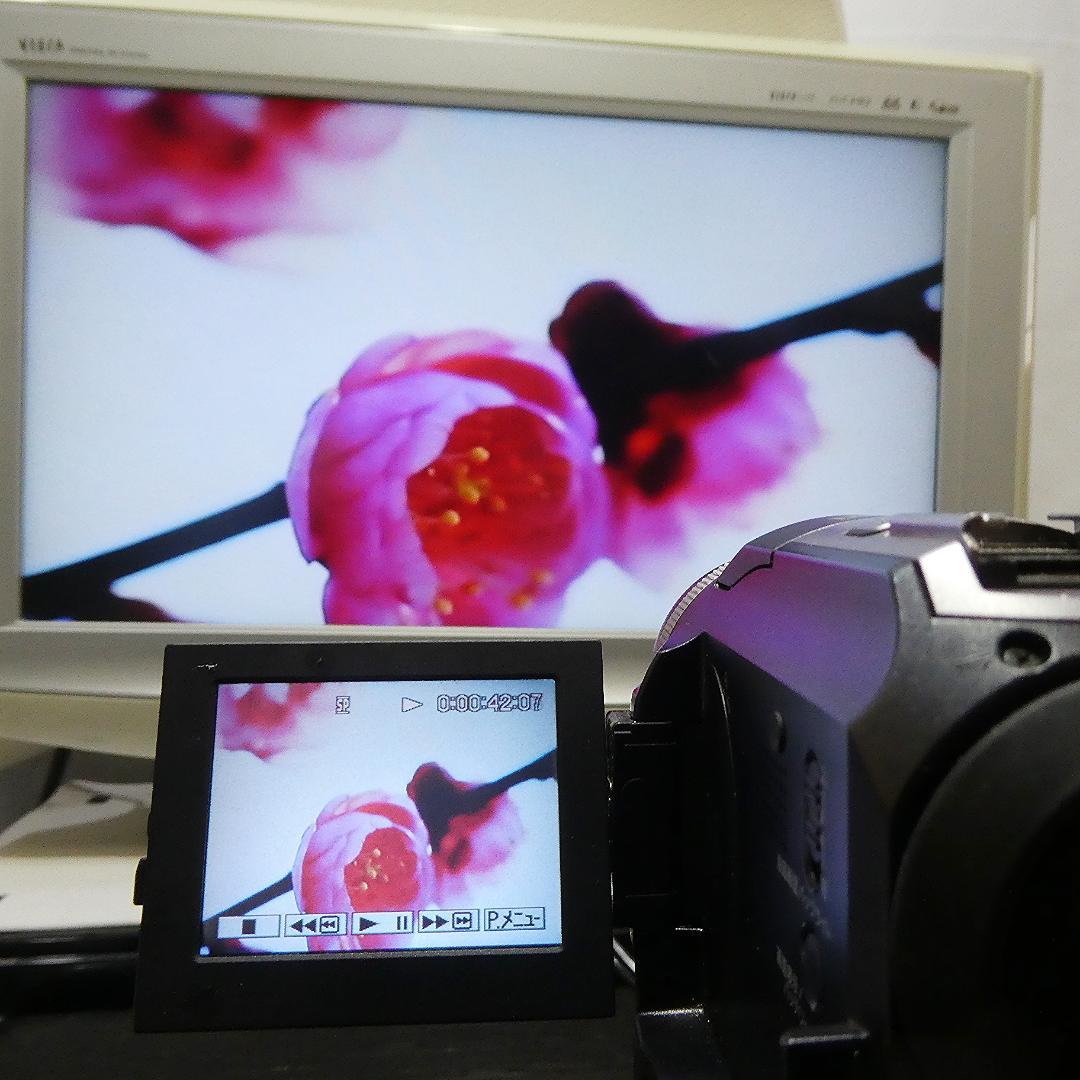 動作品 ソニーDCR-PC300 MiniDV ビデオカメラ DVDダビングに