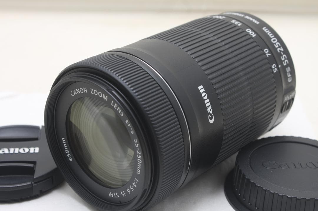 キヤノン EF-S 55-250mm F4-5.6 IS STM 0017