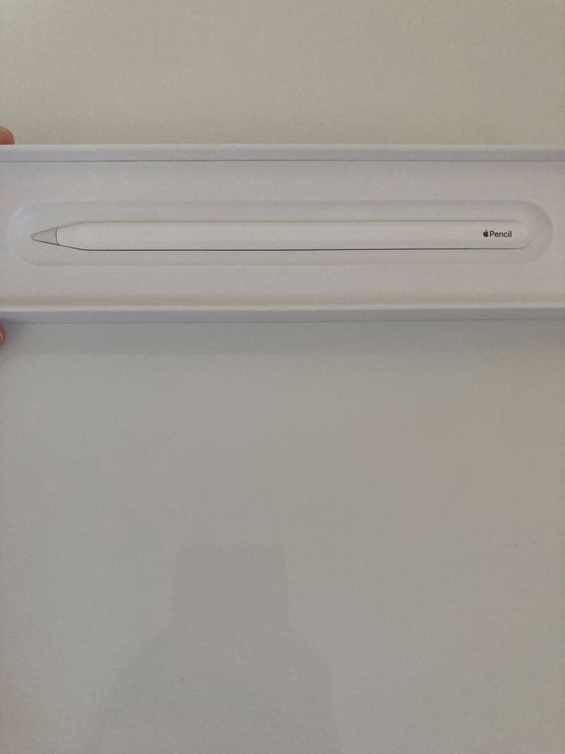 iPad Air 10.9インチ 第4世代 256GB＋アップルペンシル