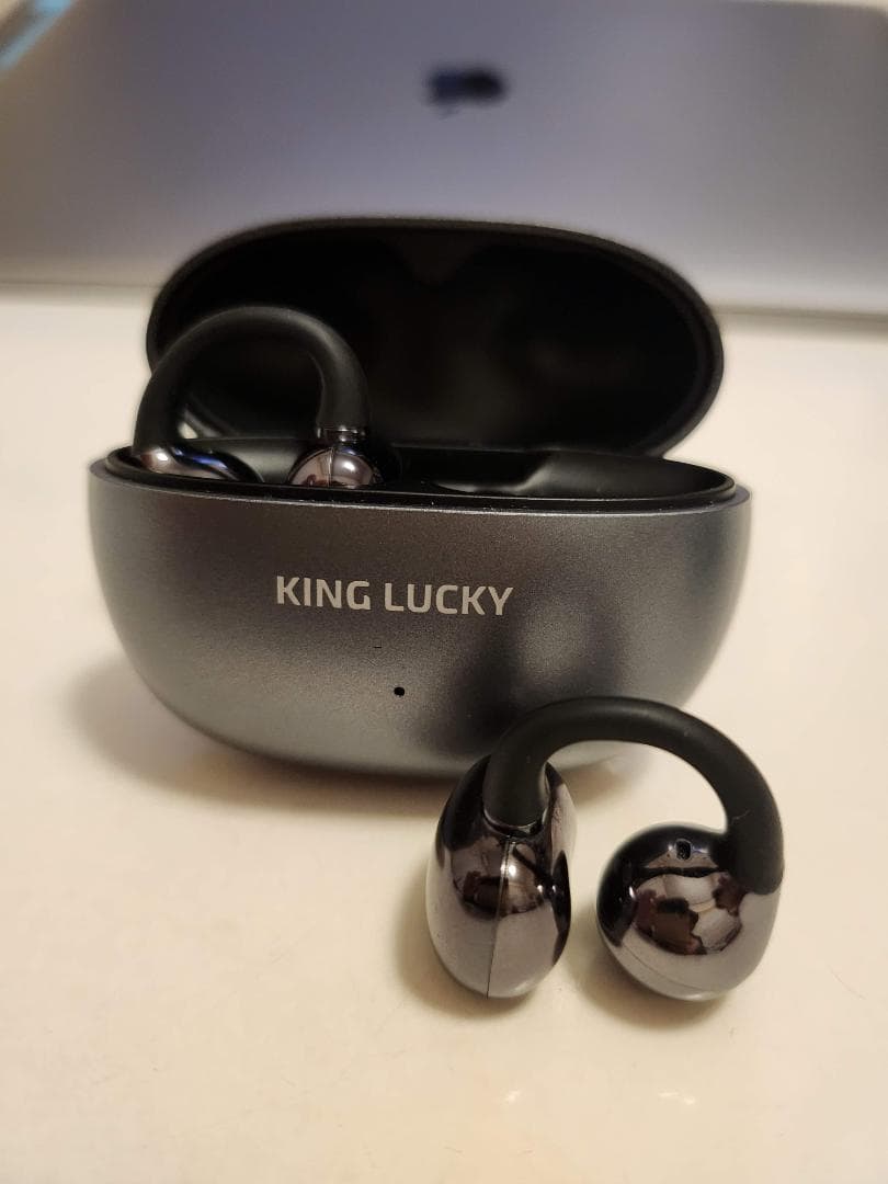 SHOKZ OPENDOTS ONE + オープンイヤー3機種おまけ！ケースも！