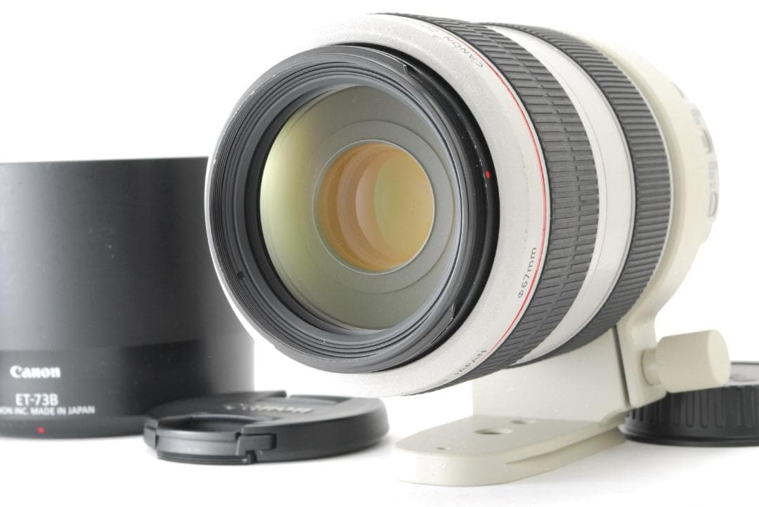 キヤノン Canon EF 70-300mm F4.5-5.6 L USM