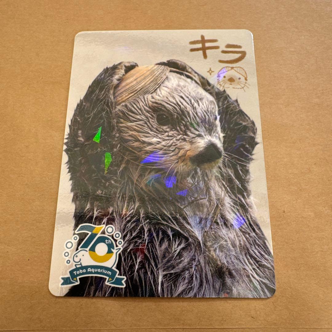 最安値‼️鳥羽水族館　 コレクションカード　レア　ラッコ　キラ　70周年記念