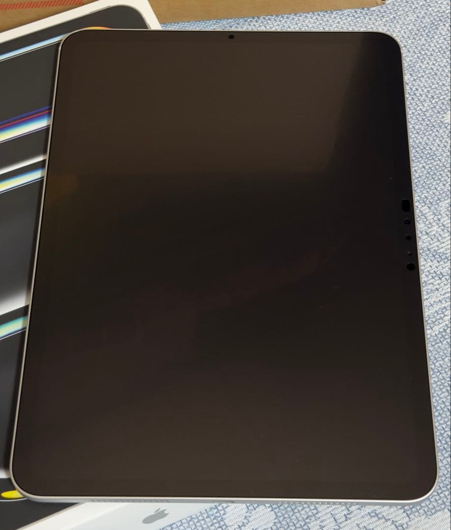 【使用少・付属品未使用】iPad Pro 11(M4) 256GB Wi-Fi