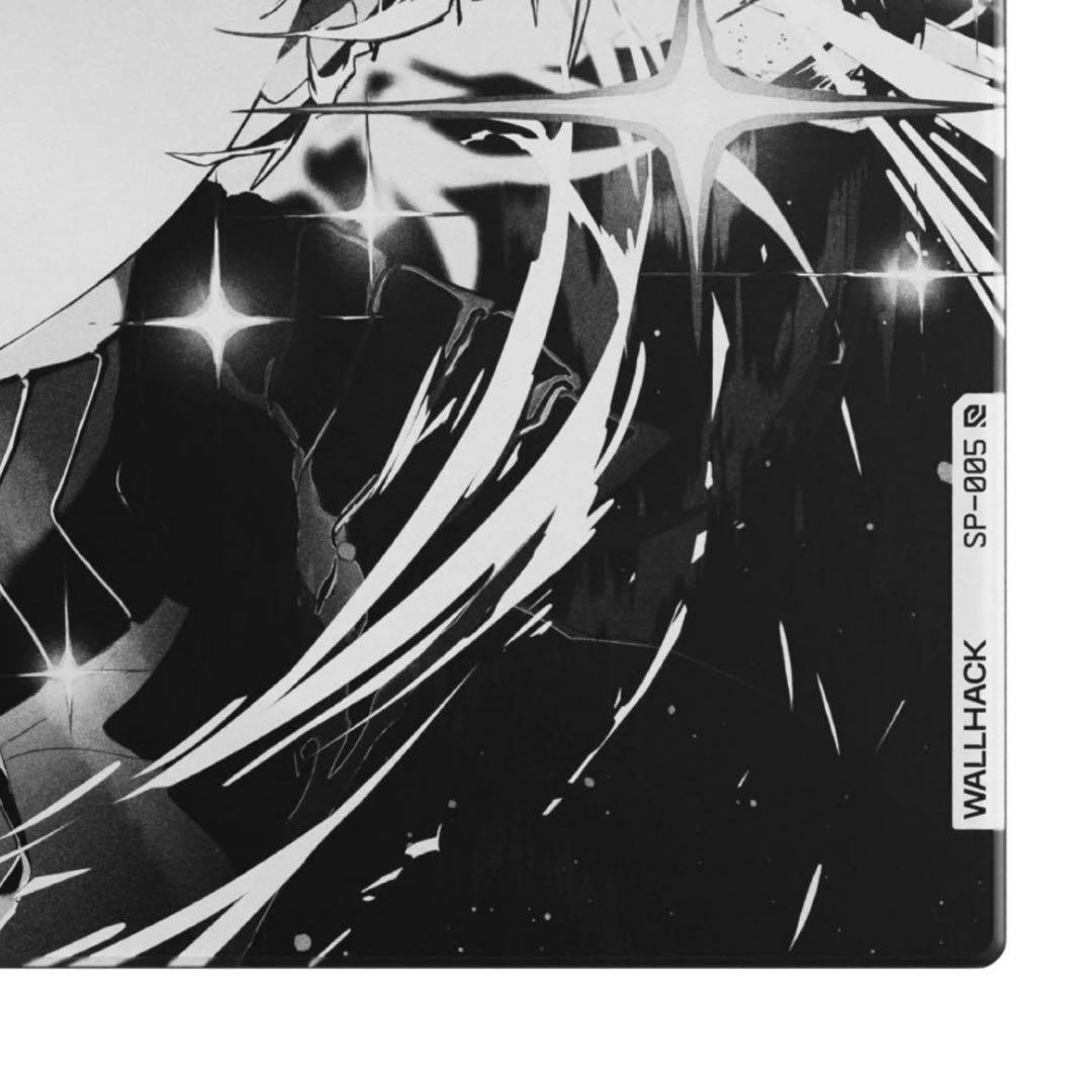 新品未開封 WALLHACK SP-005 限定版 AWAKENING SORA