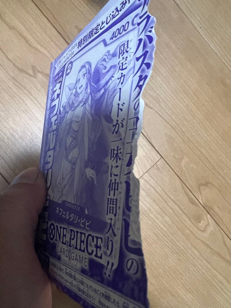 ONE PIECE CARD GAME 限定付録