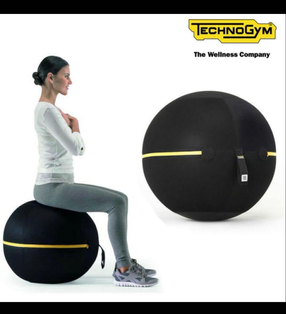 （（Technogym））WELLNESS BALL