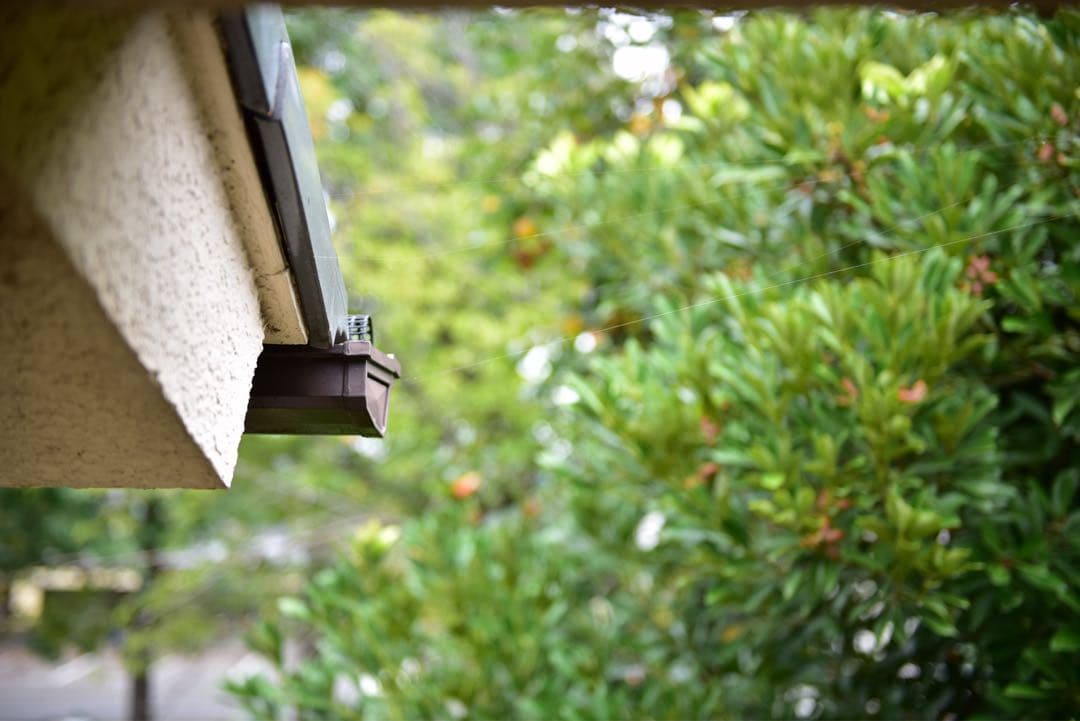 ■ ショット数18,502回 ■ Nikon D750 ボディ