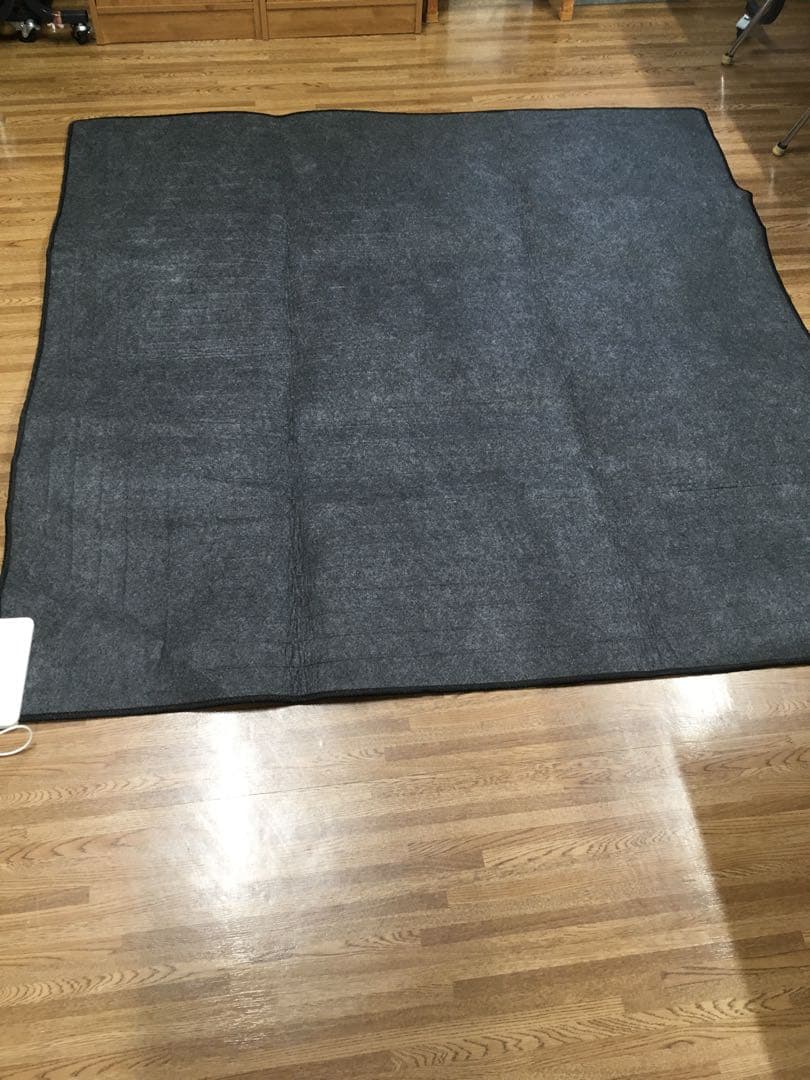 ゼンケン　電磁波遮蔽ホットカーペット　2畳用　ZCB-20P