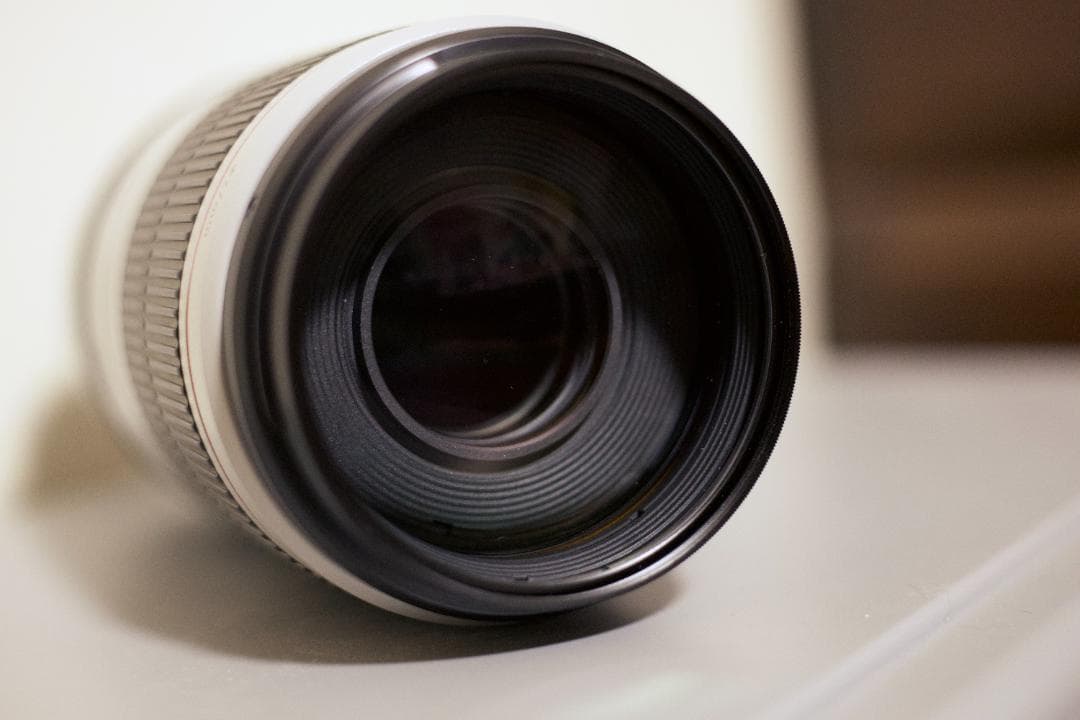 【美品】キヤノン EF100-400mm F4.5-5.6L IS II USM