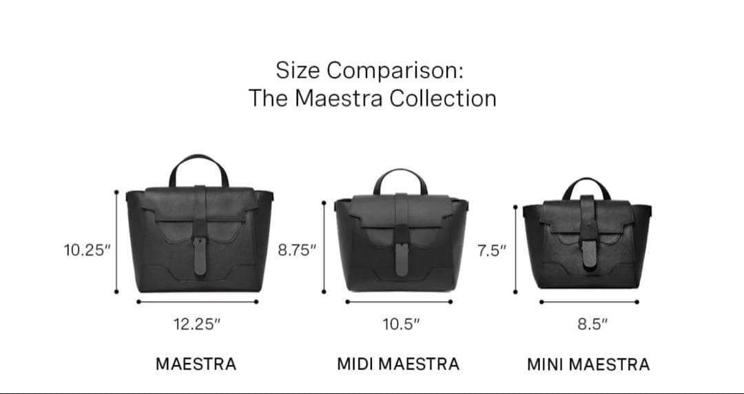 バッグ Senreve Maestra Bag | Pebbled