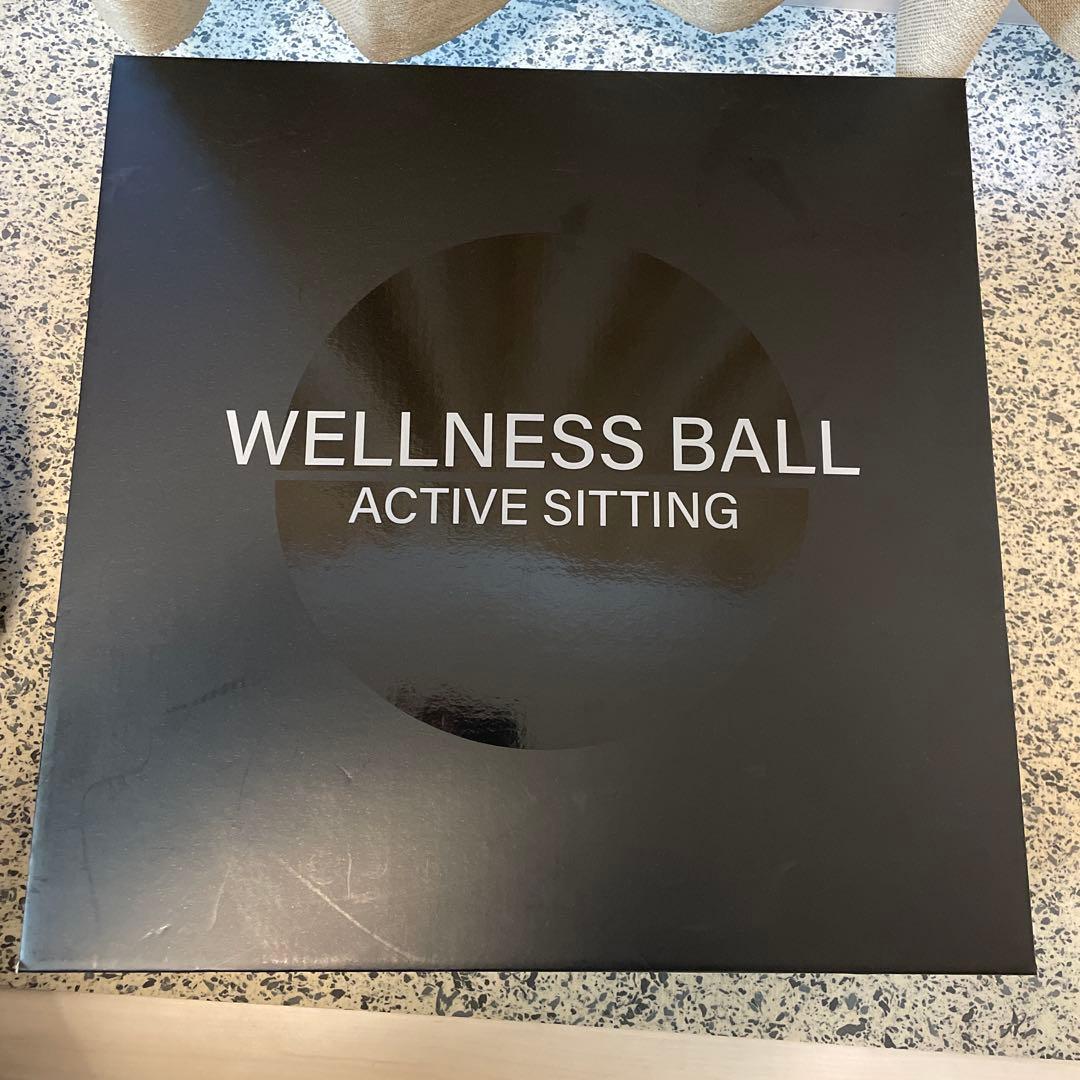 テクノジム Technogym バランスボールチェア（55cm） フィットネス