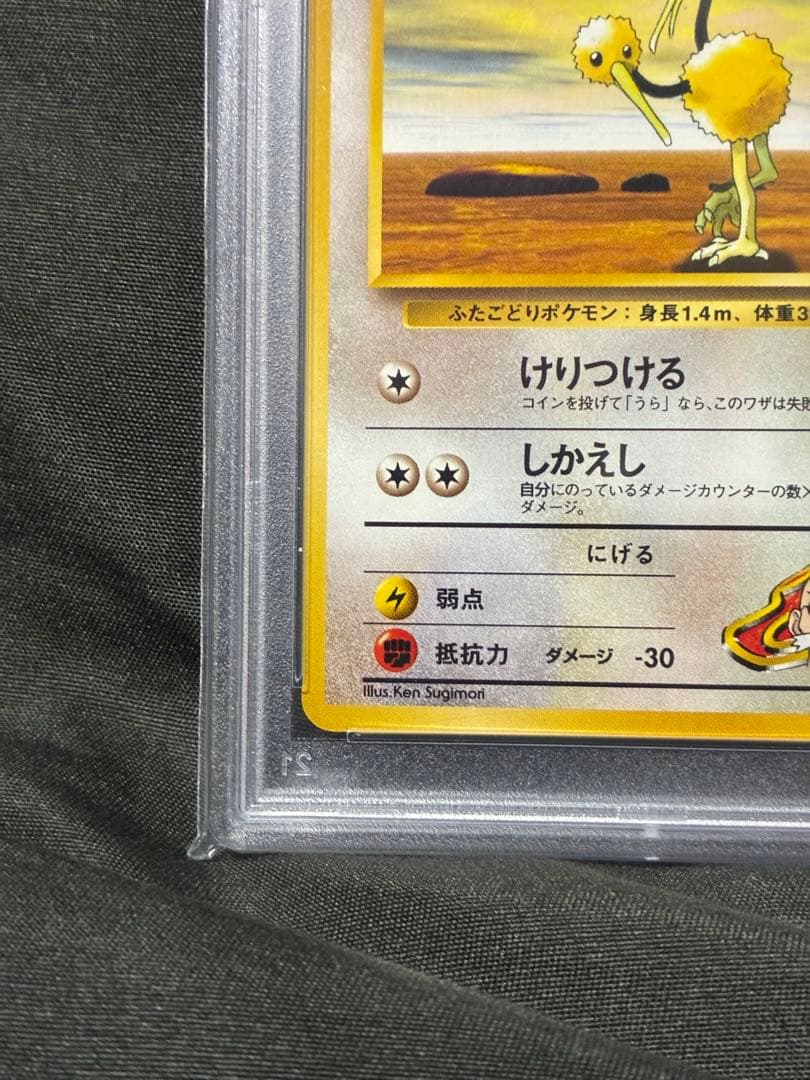 世界20枚 PSA10 カツラのドードー doduo 1999 84 10