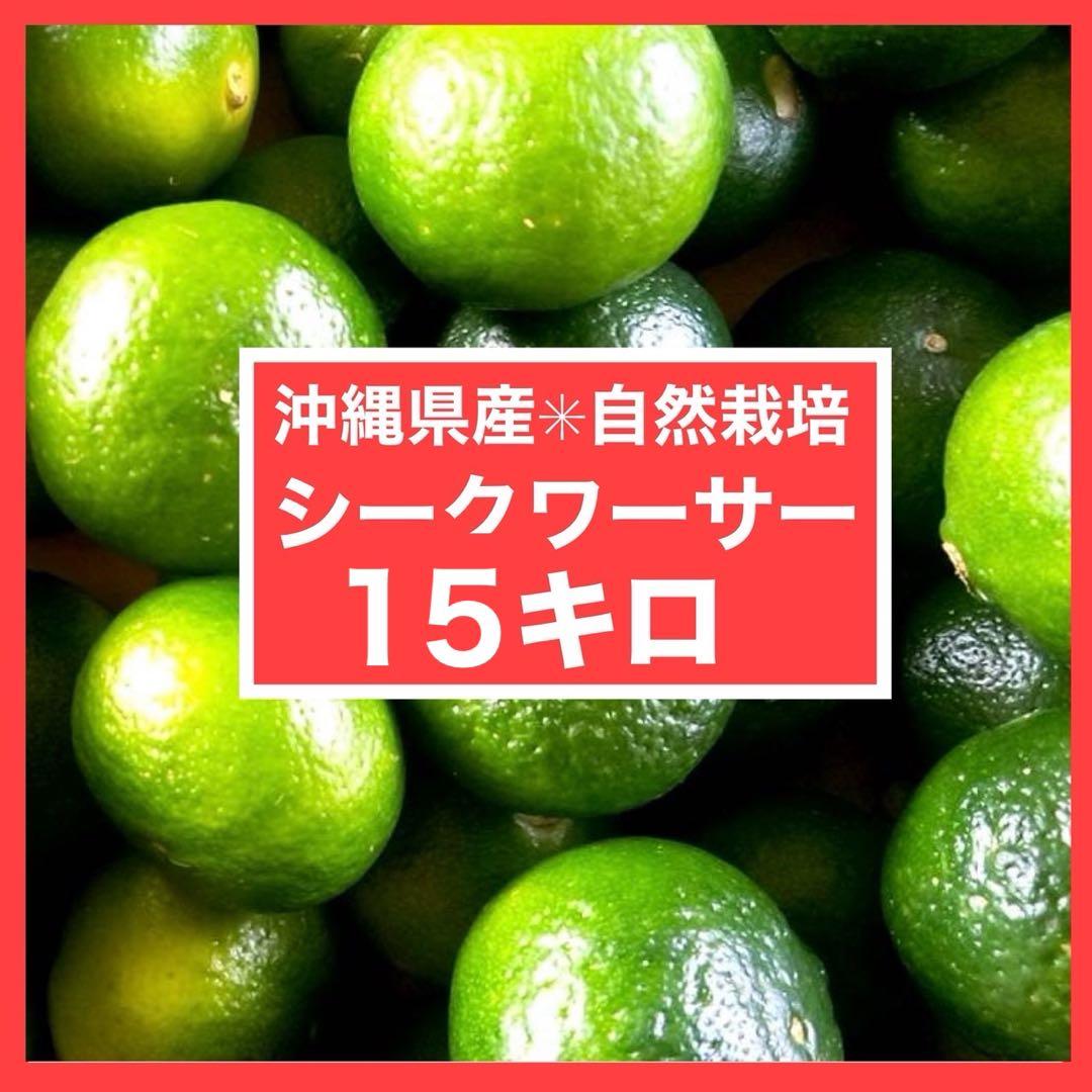 【セール】沖縄県産　シークワーサー　自然栽培　15キロ　シークヮーサー