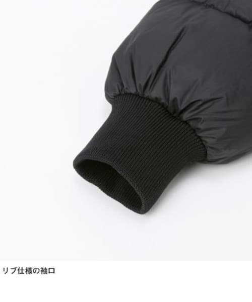 THE NORTH FACE ノースフェイス ラークスパージャケット