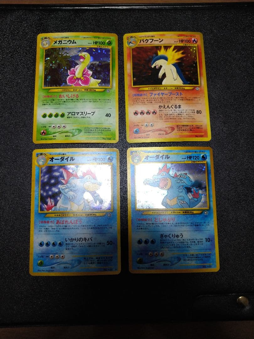 旧裏　ポケモンカード　10枚セット　メガニウム　オーダイル　バクフーン進化ライン