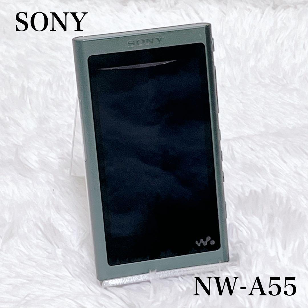 SONY NW-A55 デジタルオーディオプレーヤー WALKMAN