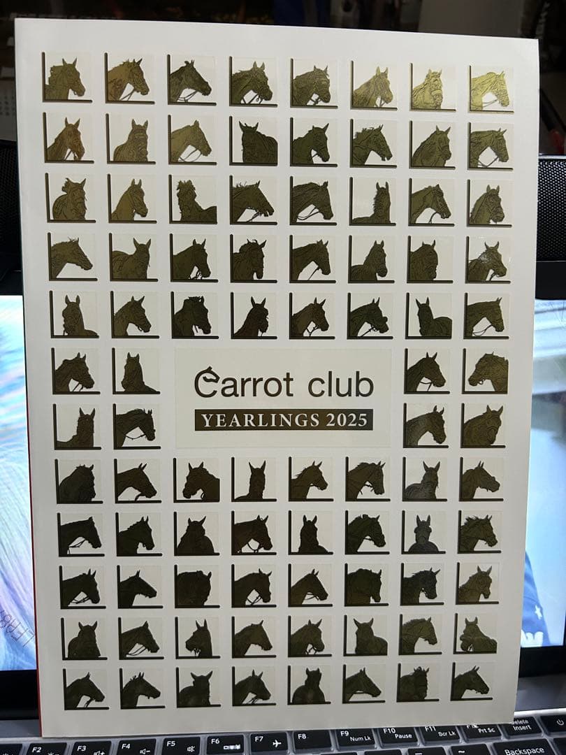 mgmg Carrot Club カタログ