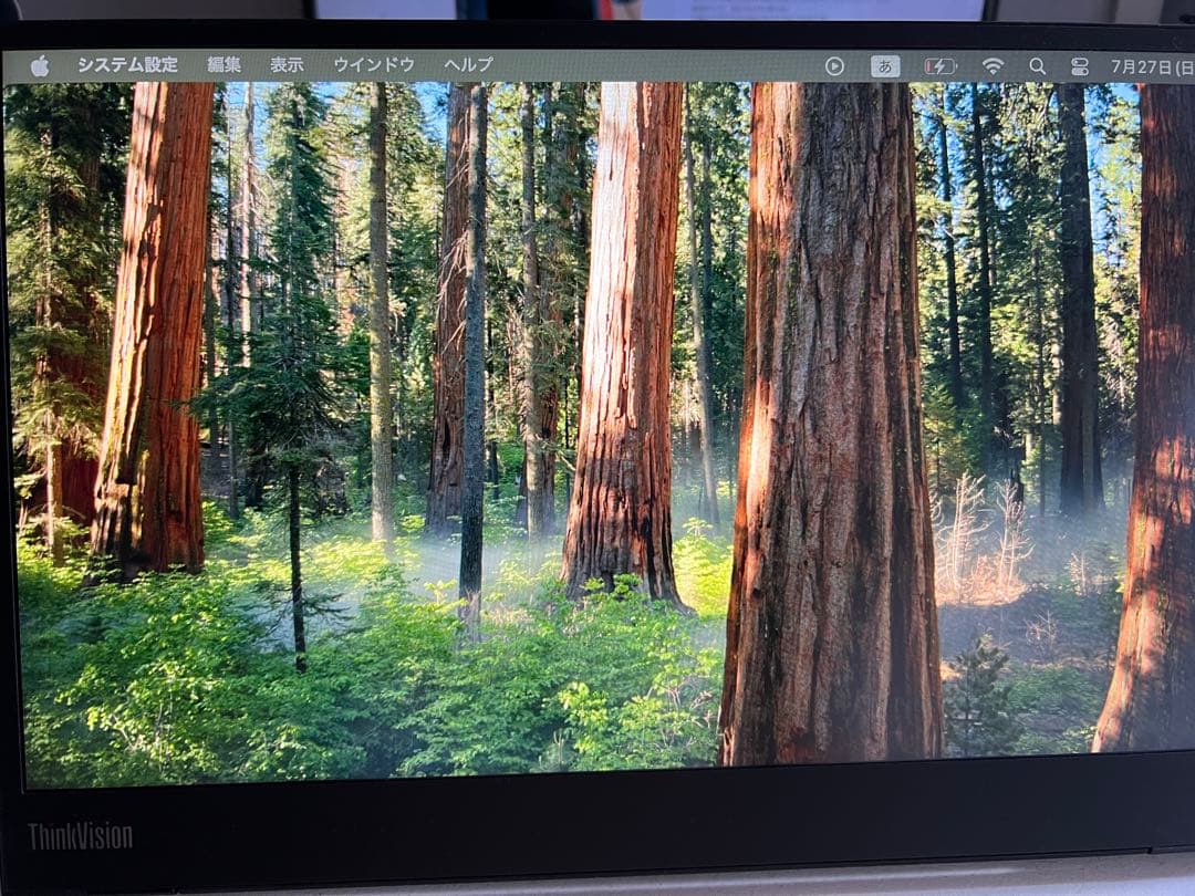 ThinkVision モニター本体 61DD-UAR6-WW