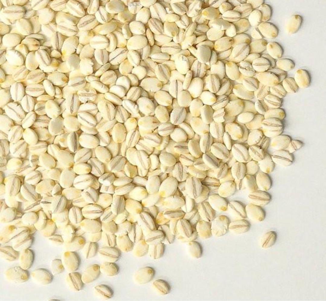 特選押麦 5kg×5 計25kg 国産