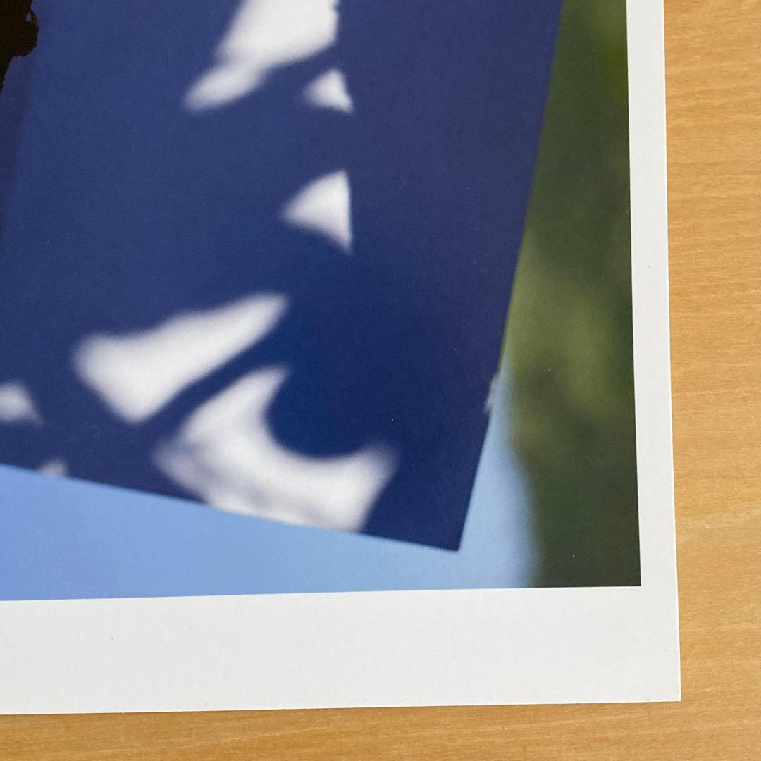 【Jay】希少 Viviane Sassen フォトプリント ヴィヴィアン