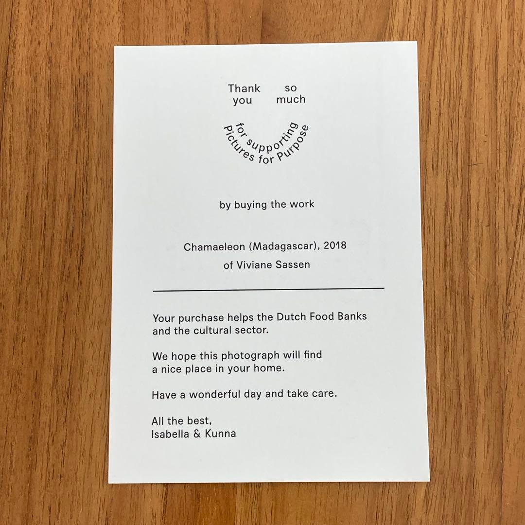 【Jay】希少 Viviane Sassen フォトプリント ヴィヴィアン