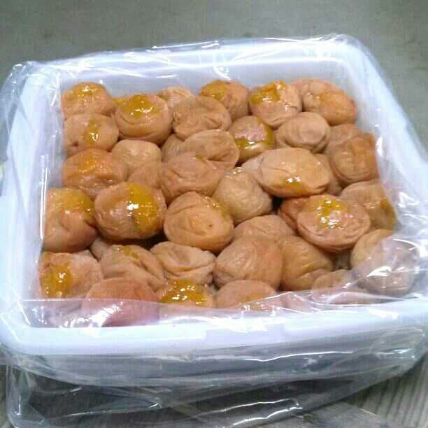 Kazumi　つぶれ梅干し6kg