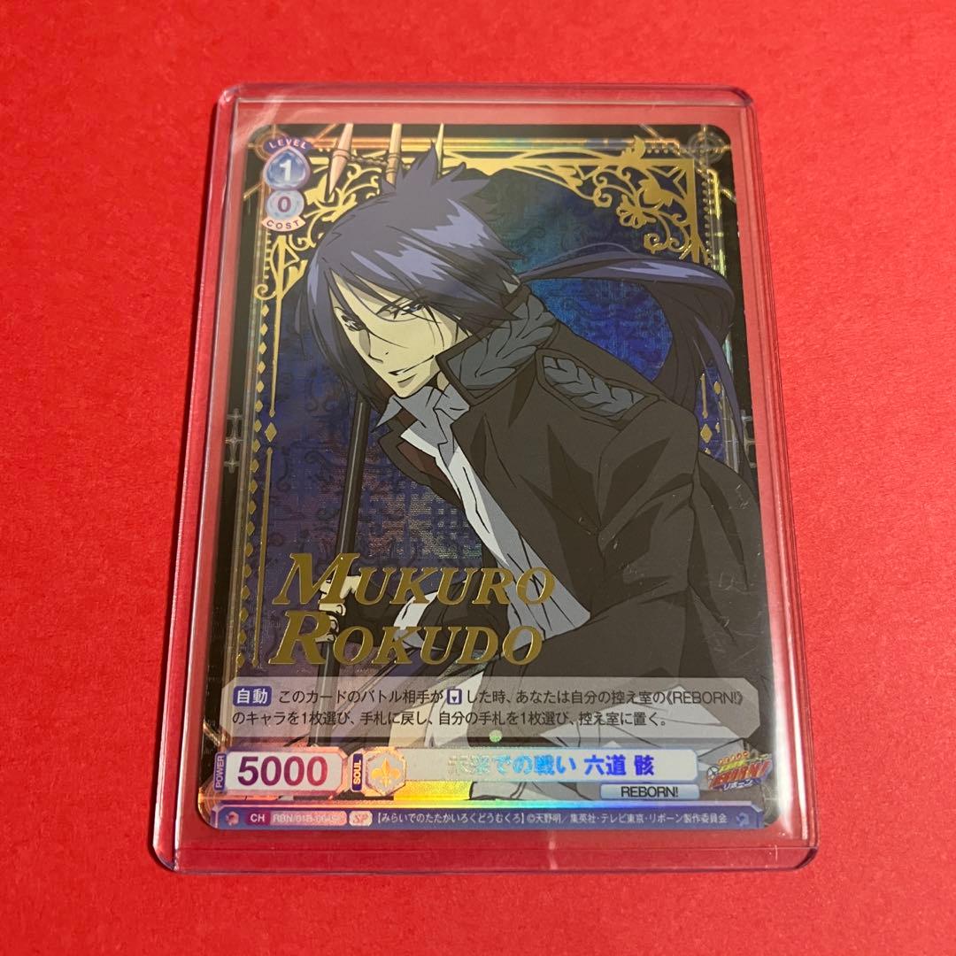 ヴァイスシュバルツブラウ　未来での戦い 六道骸　sp リボーン