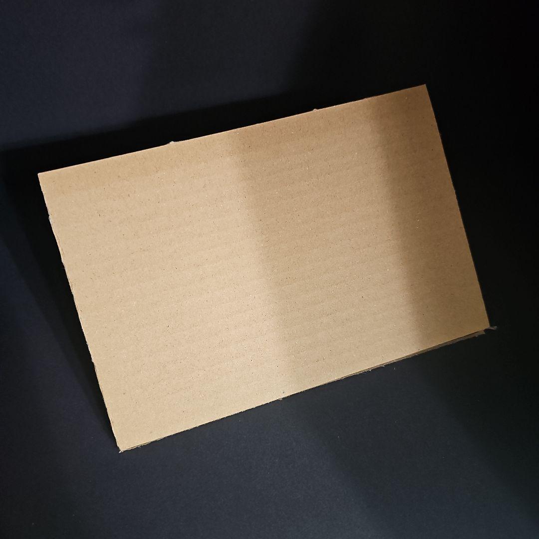 【新品】デジモンストーリータイムストレンジャー 限定版同梱カード 早期購入特典