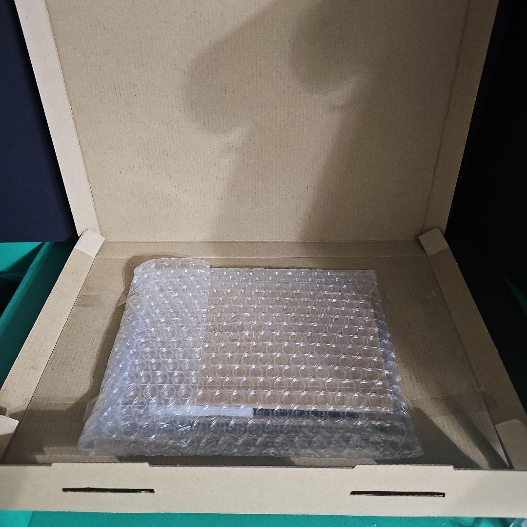 【新品】デジモンストーリータイムストレンジャー 限定版同梱カード 早期購入特典