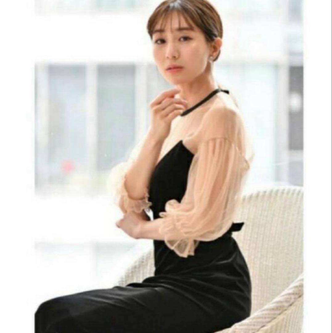 AMERI VINTAGE♢TULLE SLEEVE TIGHT DRESS♢s