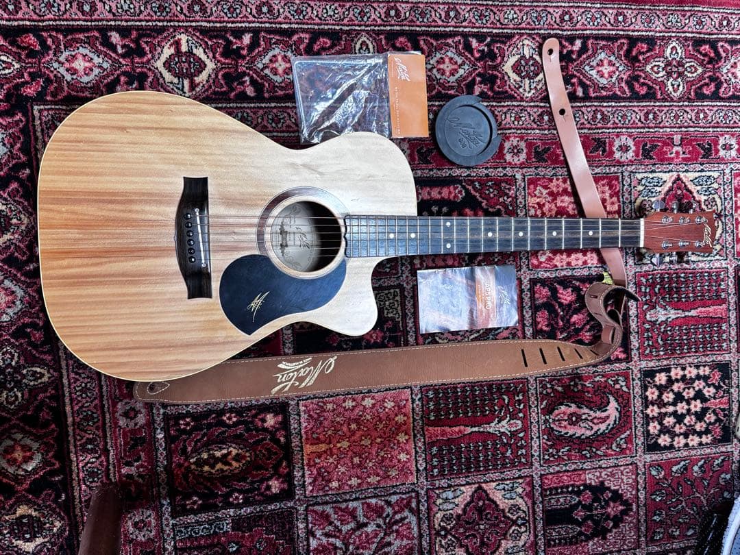 メイトン エレアコギター